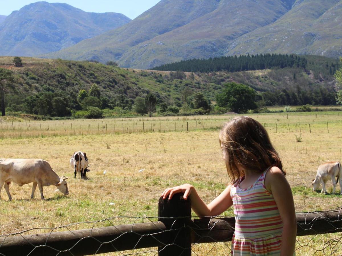 Arumvale Country Retreat Swellendam Eksteriør billede