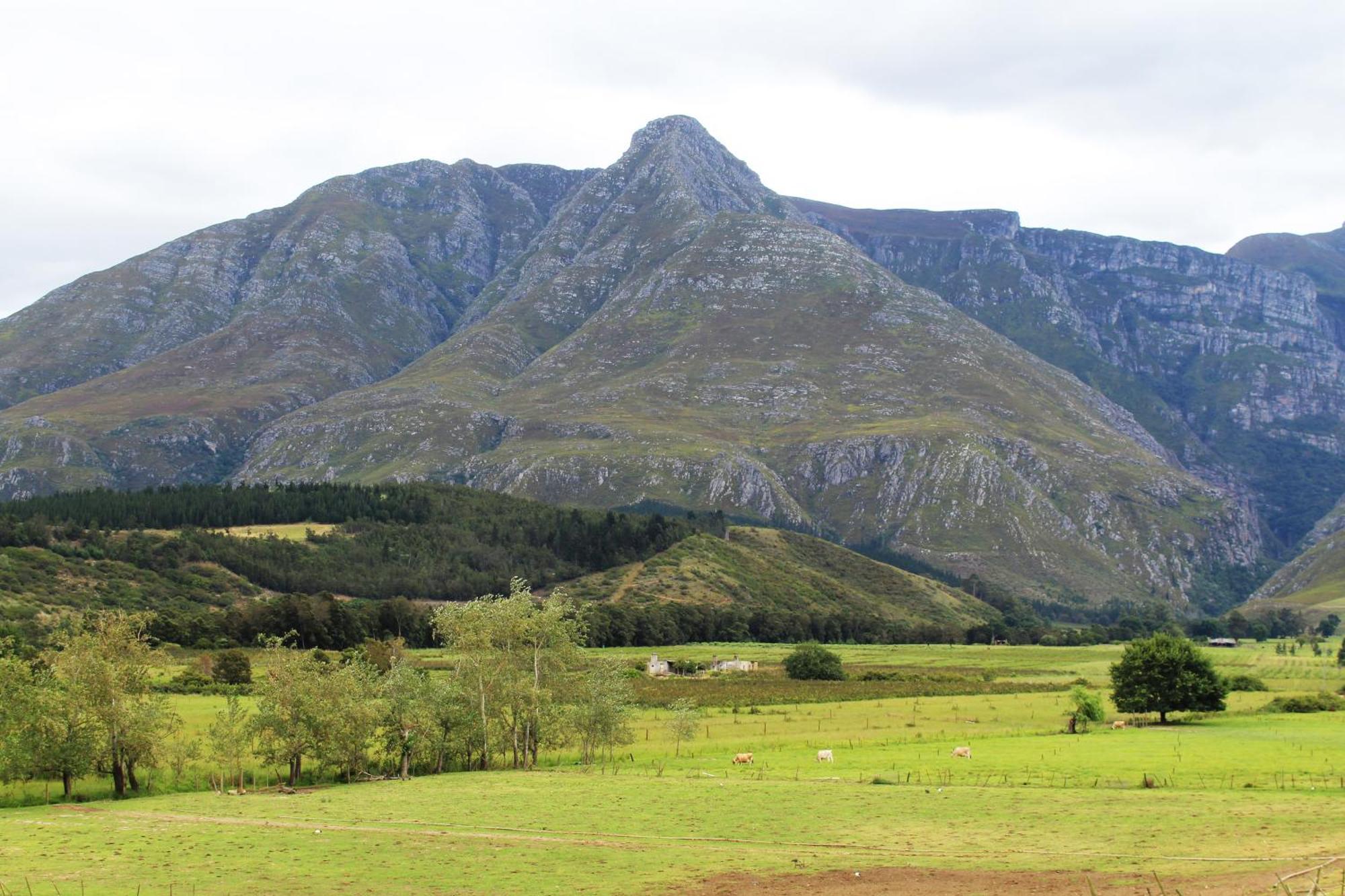 Arumvale Country Retreat Swellendam Eksteriør billede