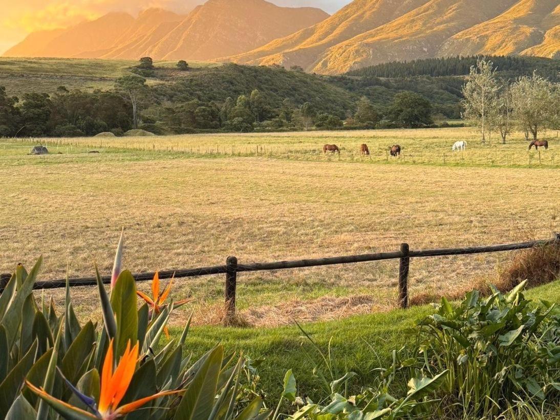 Arumvale Country Retreat Swellendam Eksteriør billede